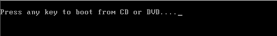 Booting from CD/DVD started