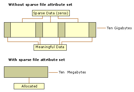 The sparse file